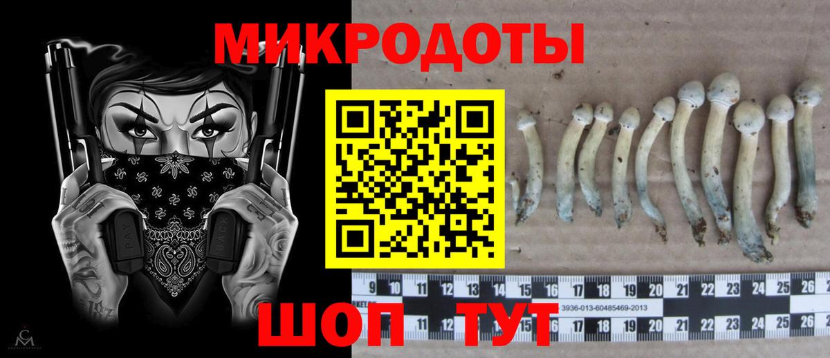 Заводоуковск  Галлюциногенные грибы Cubensis  Псилоцибиновые грибы ЛСД  Вход с VPN 